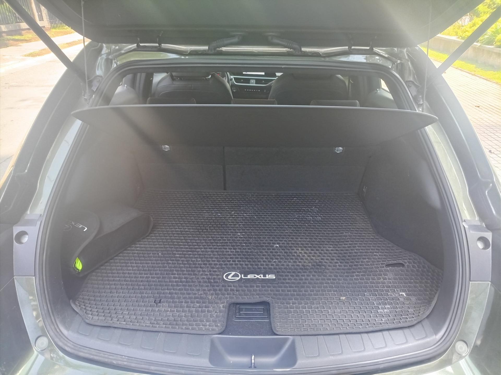 Lexus UX250H 22