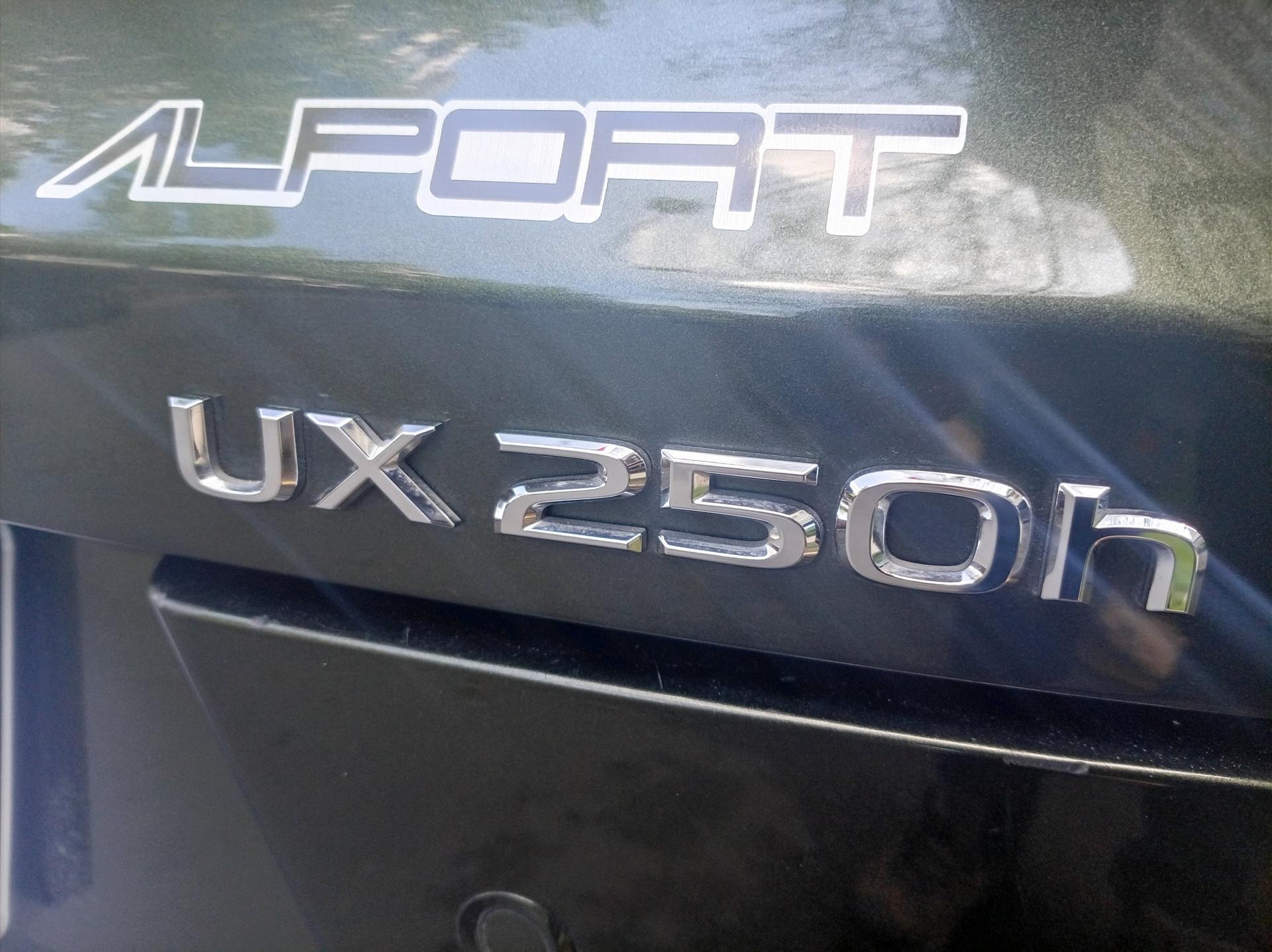 Lexus UX250H 24